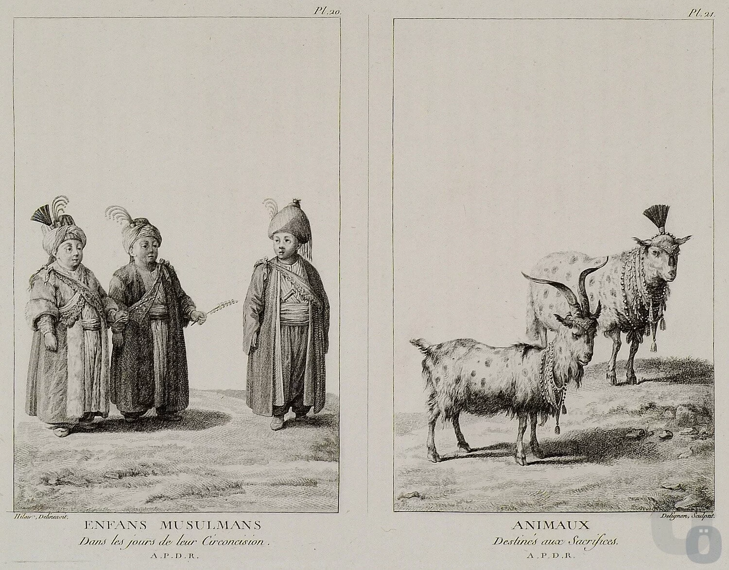 Kurban Bayramı öncesi Kurban Pazarı